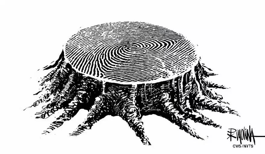 人不胖双下巴特别明显,人不胖有双下巴咋整