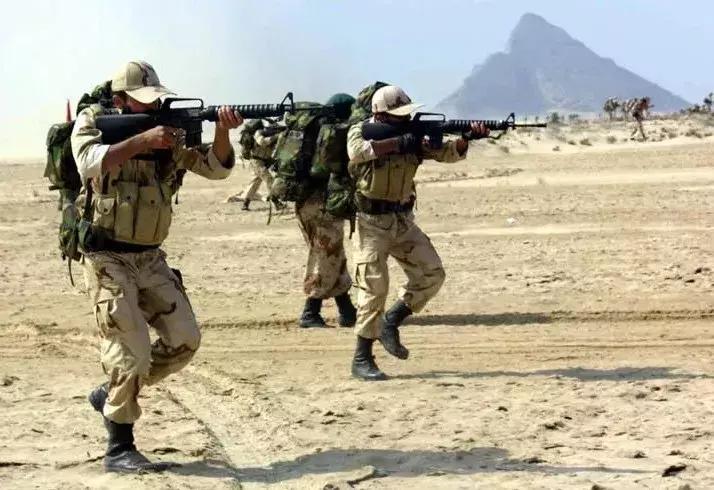 中国山寨武器,中国山寨版步枪