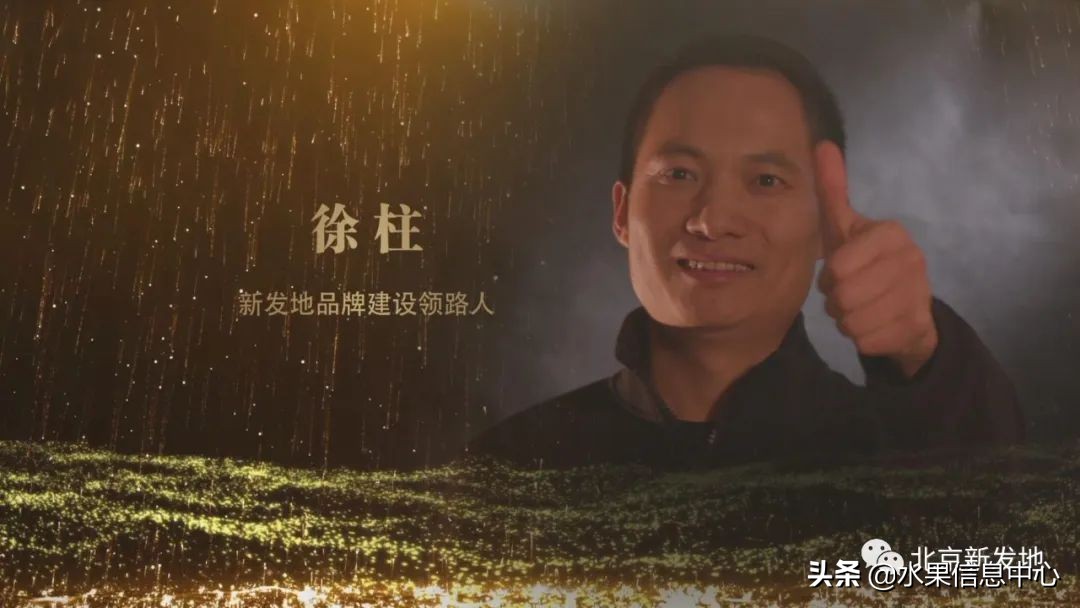 水果大王们生意经,水果生意经