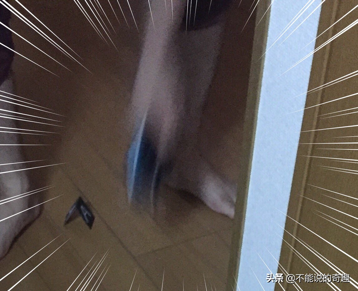 一物降一物治婆婆,一物降一物日本