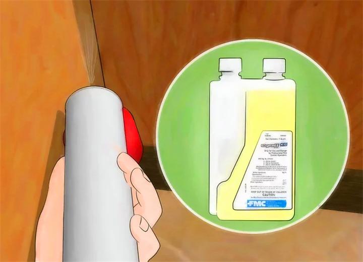 家里蟑螂太多怎么能彻底清除蟑螂,家里蟑螂多如何灭蟑螂