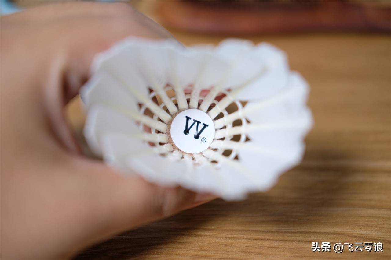 「中羽在线飞云零狼」威羽斯钻一钻二钻五评测——高性价比鹅毛球