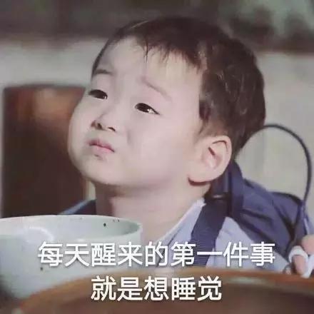 跟爸妈旅行真实感受,和爸妈旅游现象