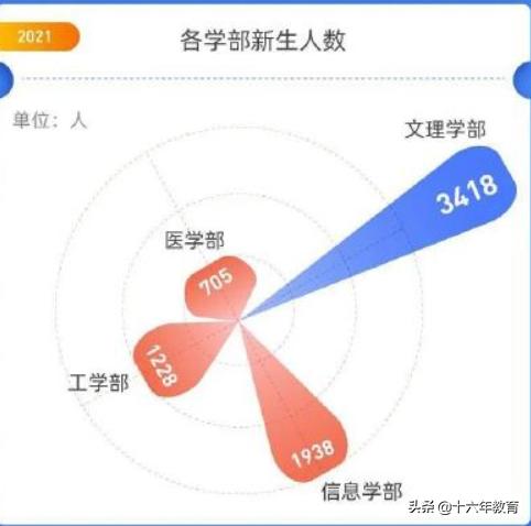 2020武汉大学就业报告,武汉大学就业质量年度报告2021
