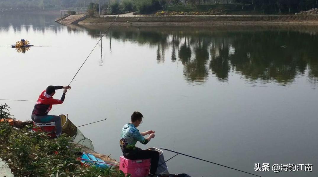 顶漂大幅顿口不中鱼什么原因,突然顶漂不中鱼怎样解决