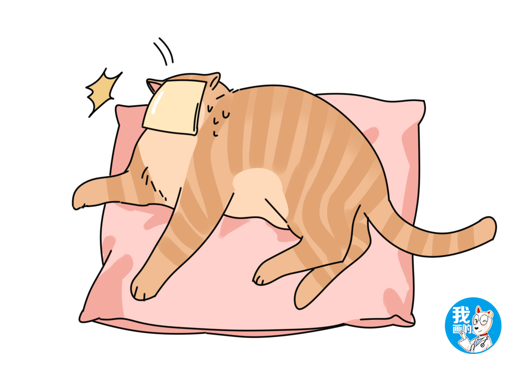 捏后颈、贴芝士、画圈圈，这些猫咪封印术居然都是有科学依据的？