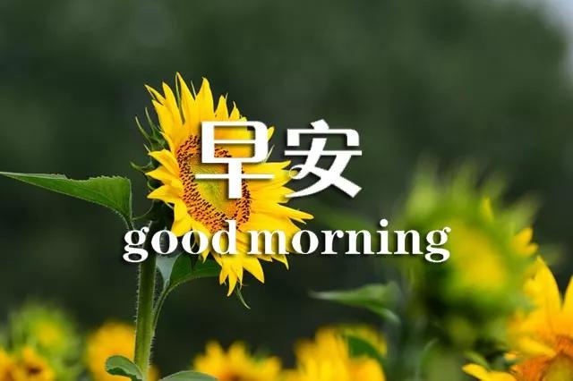 早上好心灵鸡汤正能量语句,早上好的励志句子心灵鸡汤