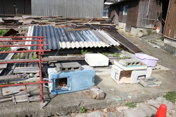 日本猫岛居民帮浪猫准备「御寒小屋」网：超暖心