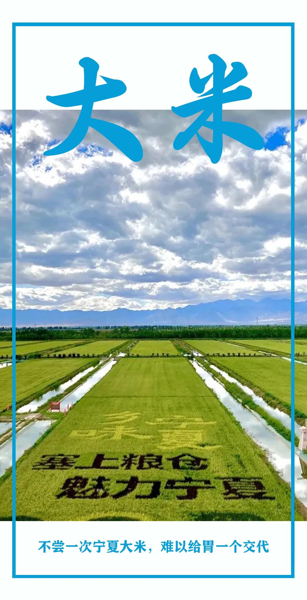 宁夏大米好吃吗,宁夏大米排名第一名