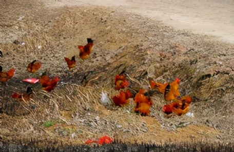 支气管部分堵塞最好的解决方法,支气管堵塞最好的解决方法