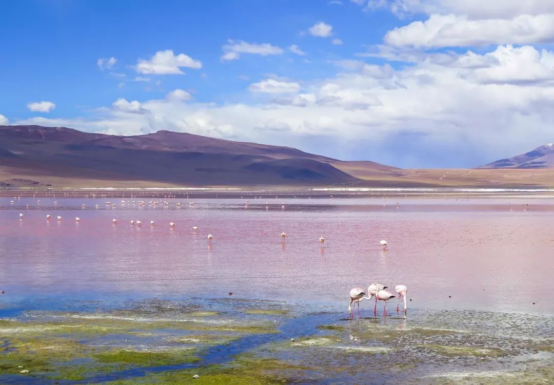 物价最低风景最好的国家,适合旅游物价比较低的国家