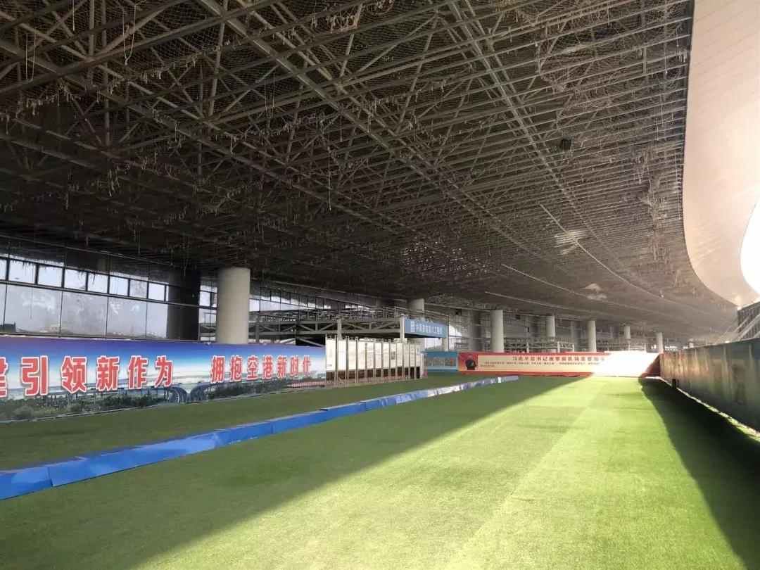 建一座世界级足球场,建造一个世界顶级足球场