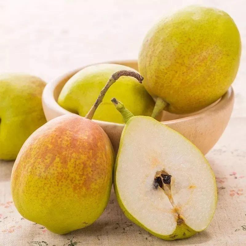 库尔勒秋天的香梨,库尔勒香梨香甜多汁