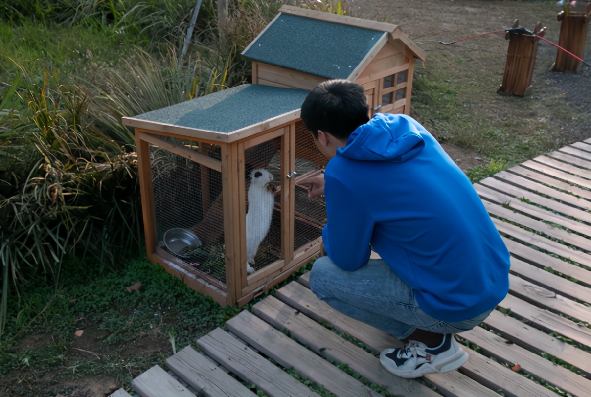 试驾奔奔e-star,奔奔e-star深度测评开火