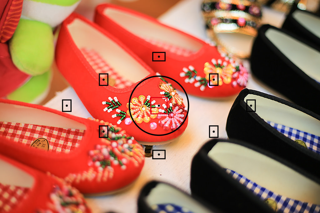 摄影小白怎么学会构图,摄影精准聚焦技巧