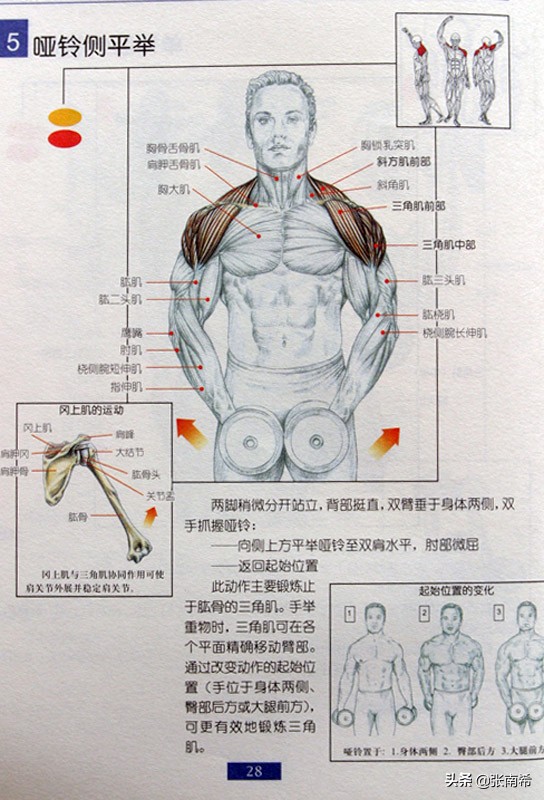 男士健身的进阶之路,男士运动健身全攻略