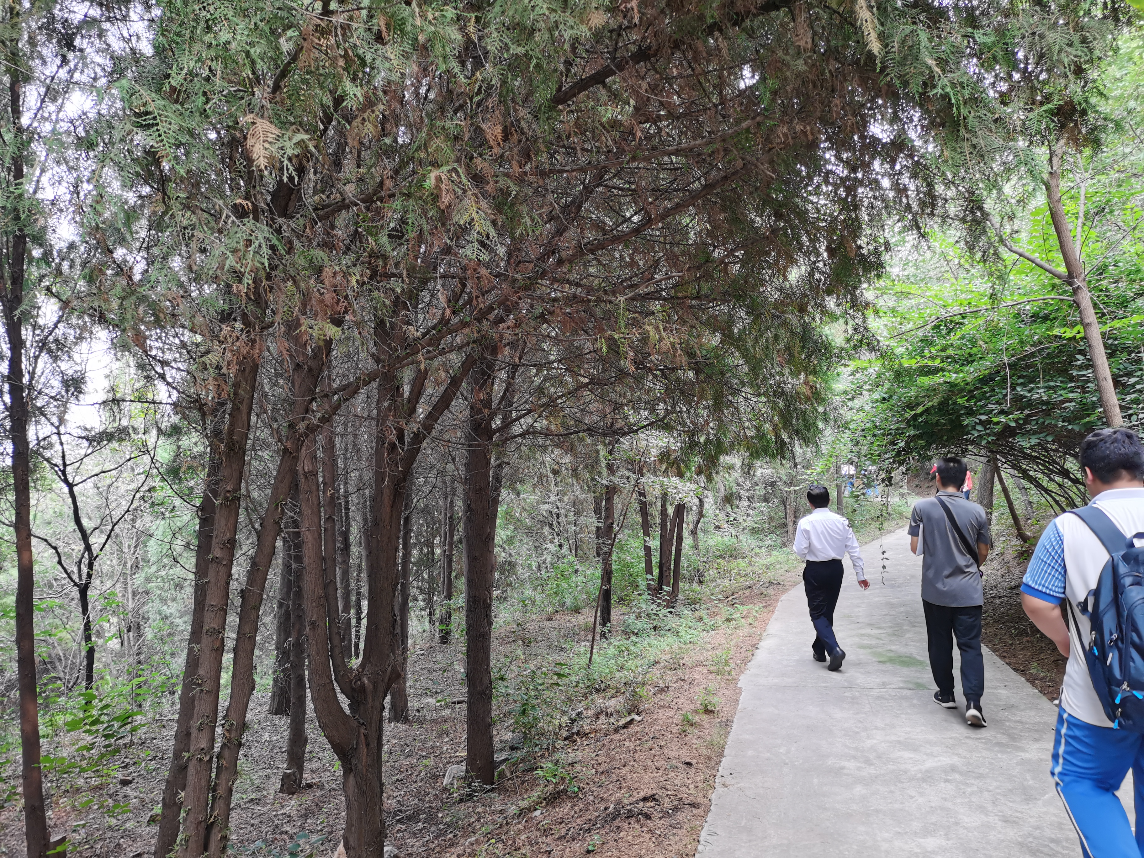 真会玩！天津这所中学带着学生进山里上生物、地理、历史、政治课