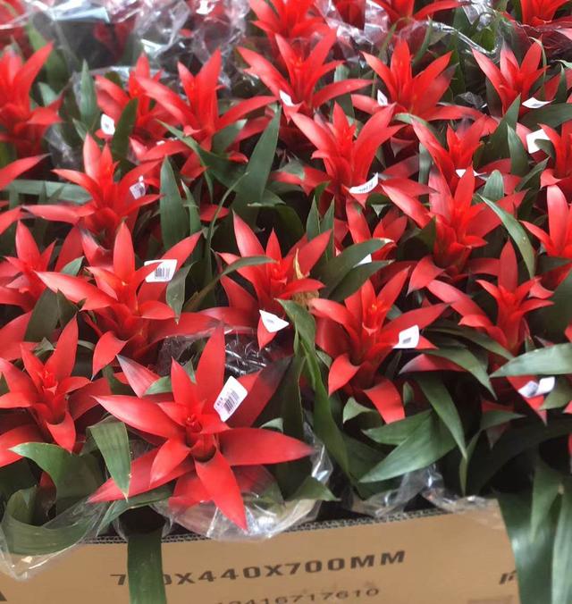 朋友圈卖土特产月入多少,萌妹子朋友圈