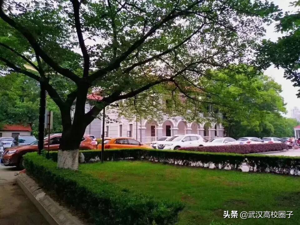 湖北中医药大学，是湖北省唯一一所高等中医药本科院校