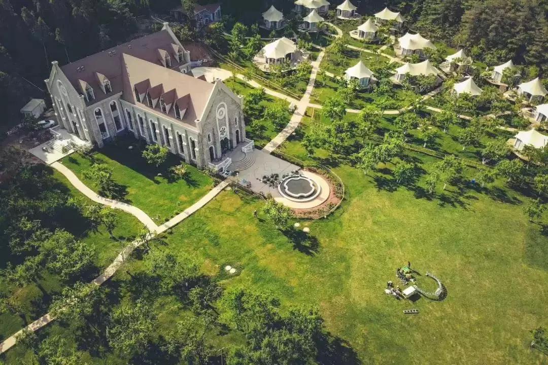 蓝花楹昆明网红打卡地在哪里,昆明周边湿地公园网红打卡地