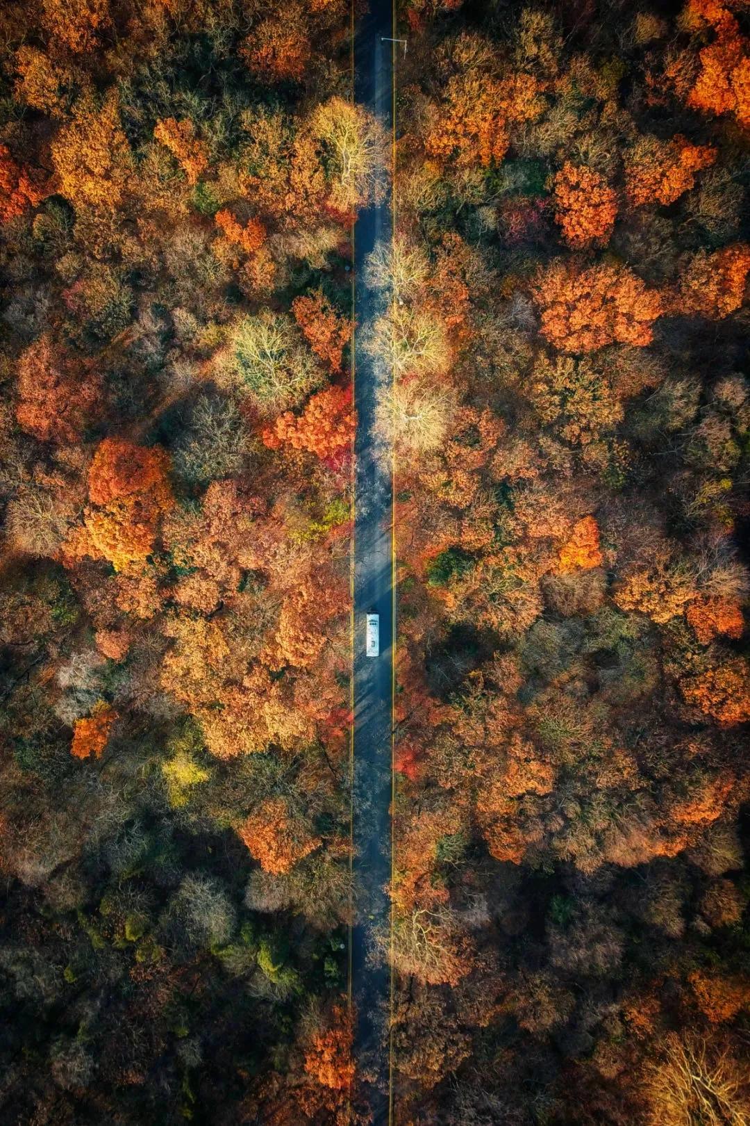 南京体育学院世界冠军的摇篮,南京体育学院世界摇篮