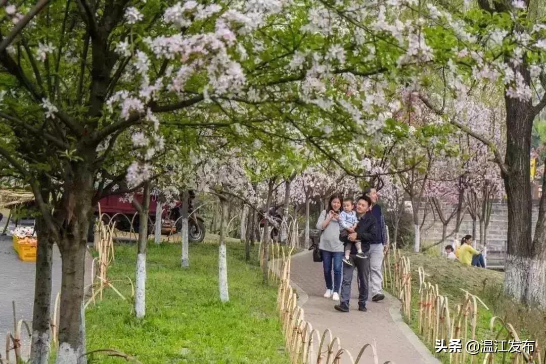 温江健身步道路径,温江健身最好的地方