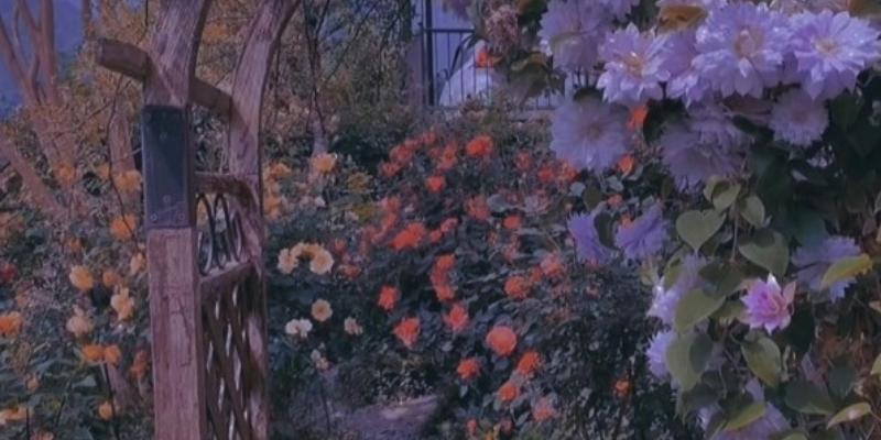 男友送廉价的礼物心理,送男朋友礼物比他送的便宜尴尬吗