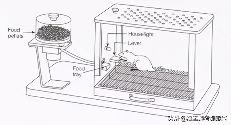 教招考试题目有哪些,教招考试有哪些题型