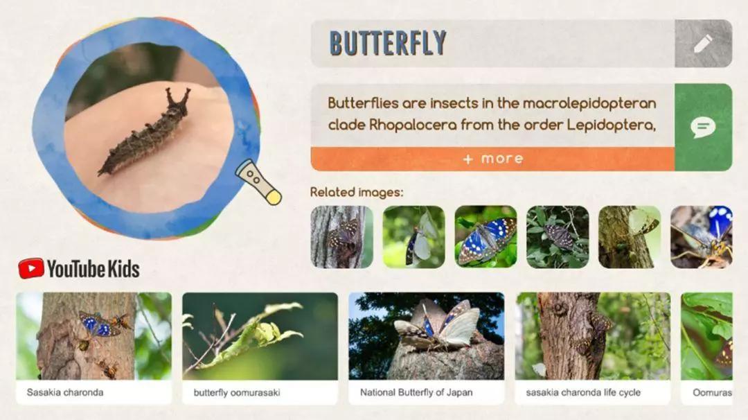 世界设计大奖案例,德国if设计大奖著名作品