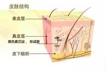 护肤讲堂知识大全,有斑皮肤护肤指南