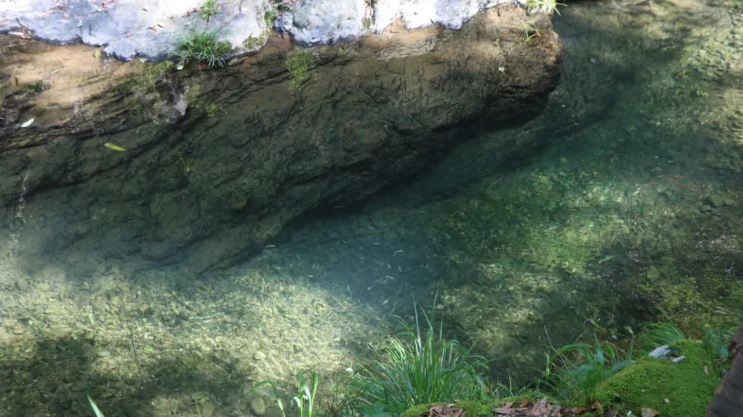 石台仙寓山附近哪里好玩,石台仙寓镇云里居