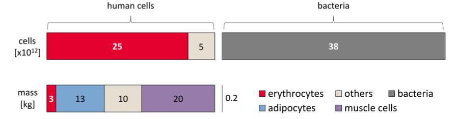 天是蓝的，花是香的，为什么你的屁是臭的？