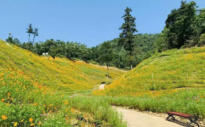 清远七天玩乐,清远一日游最佳景点一览表最新