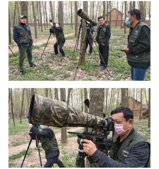 曹县魏湾镇各村姓氏分布,曹县魏湾地名