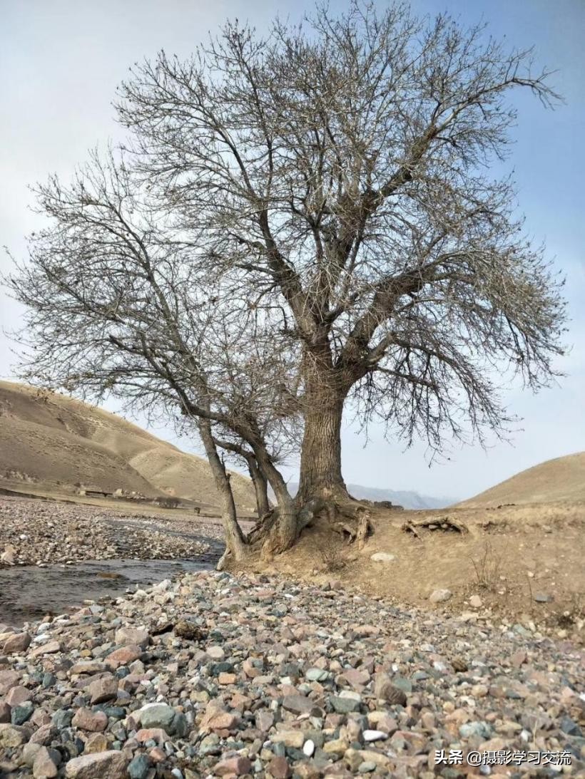 你还停留在摄影基本功上别人已经研究照片风格了-摄影照片分析
