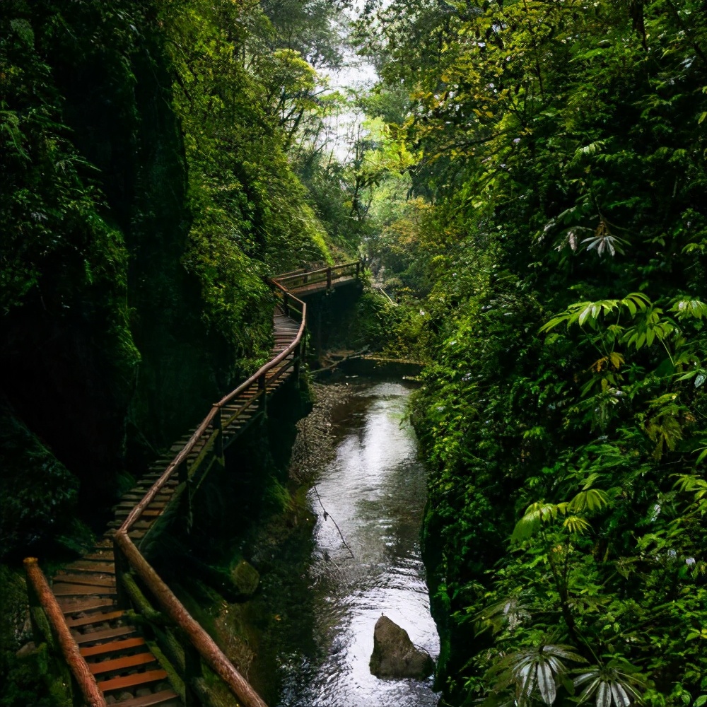 青城山问道去哪个道观,问道青城山好玩吗值得去吗