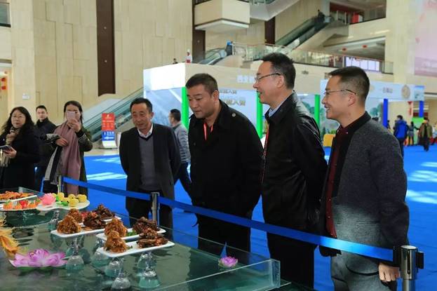 社会就像舞台,社会犹如一条船