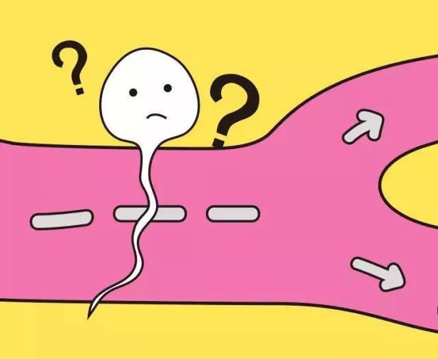 小蝌蚪为什么不吃东西了,小蝌蚪不正常的原因