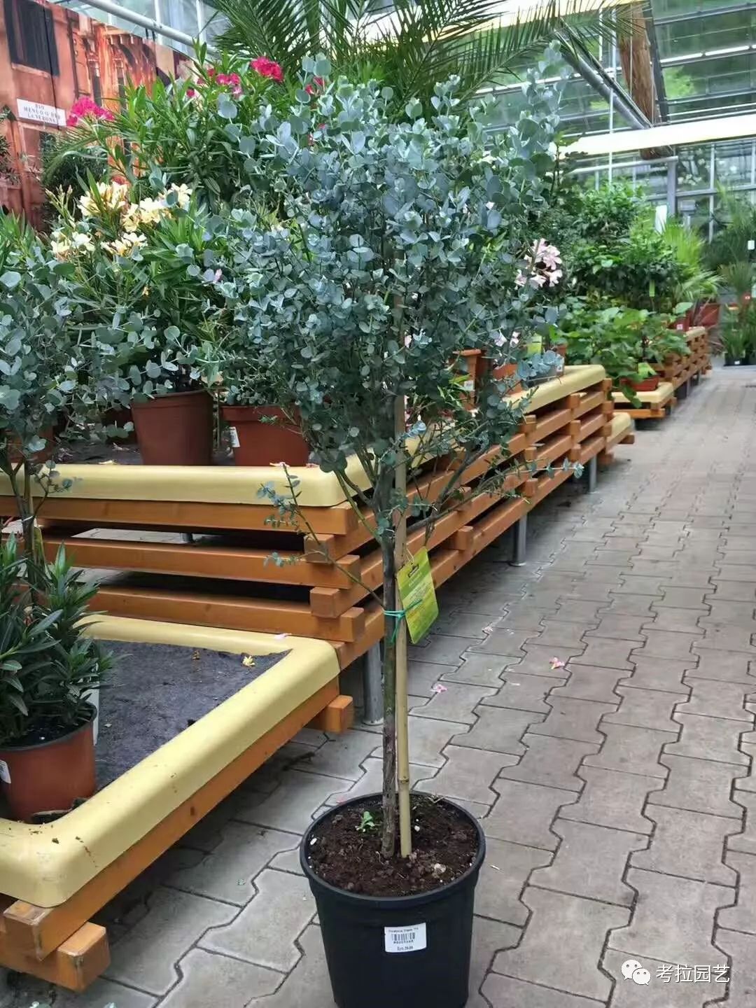 大地的恩赐图片,大地的馈赠是大天域吗