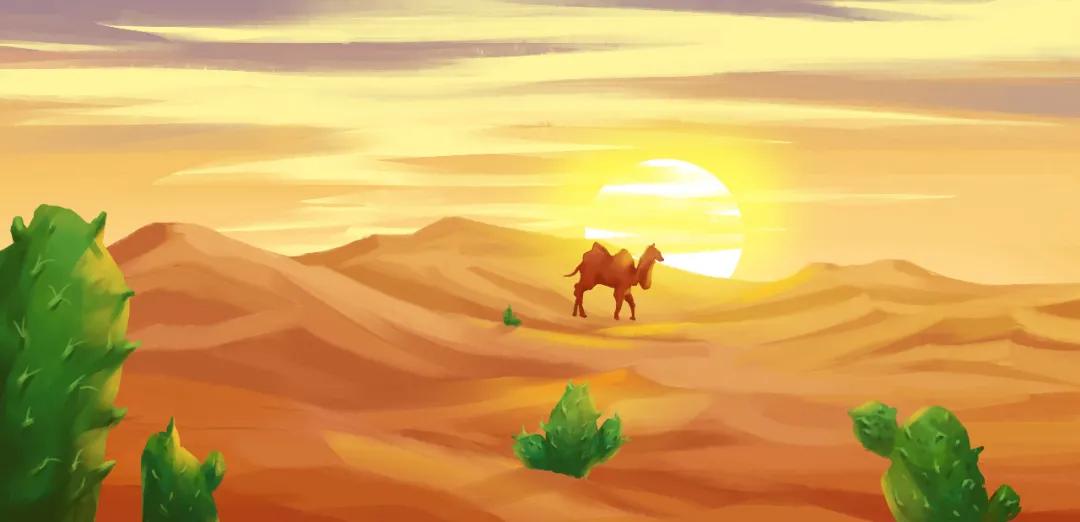 小刺猬植物名称是什么,跟刺猬一样的植物