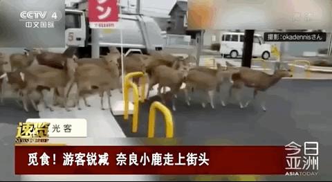 疫情下岗补贴怎么办,疫情期间下岗失业人员补贴政策