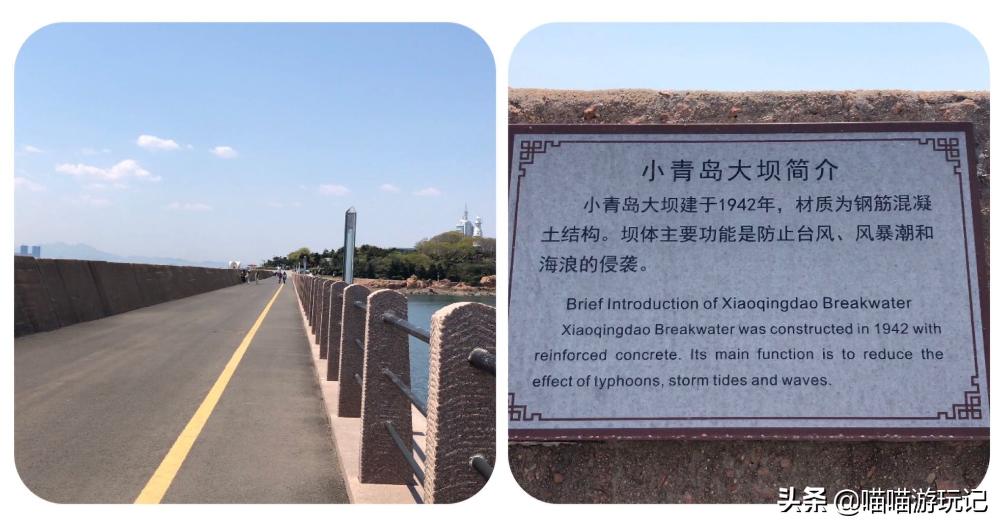 小青岛公园评价,青岛小青岛公园收费