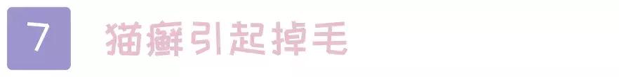 猫咪脚上突然斑秃掉毛是怎么回事,猫咪头顶掉毛但是无结痂是猫癣吗
