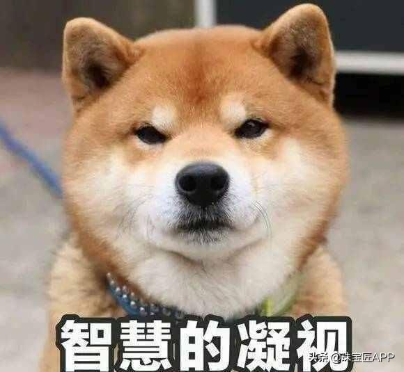 6大珠宝品牌！成双入对的“肥啾”珠宝，谁还不是个520的小可爱？