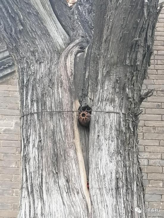 舞笛丨鹿邑犹龙智慧源