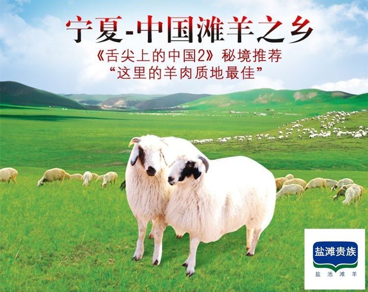 羊时代牧羊人烧烤,宁夏贵族滩羊