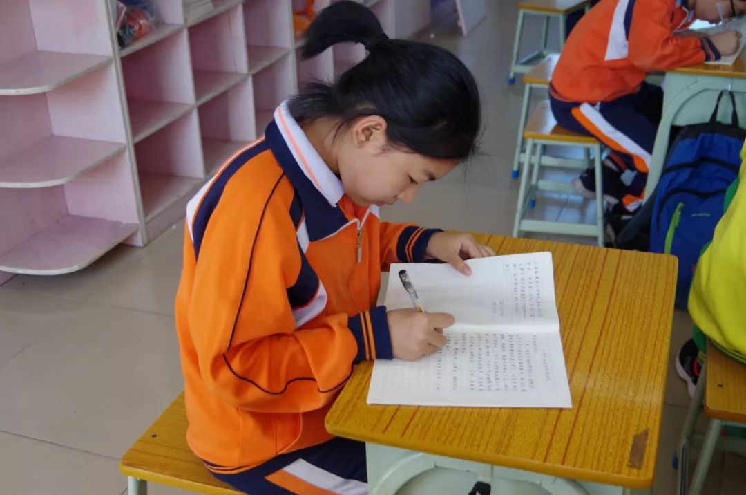 广州番禺洛浦小学托管中心,番禺洛浦幼小衔接托管