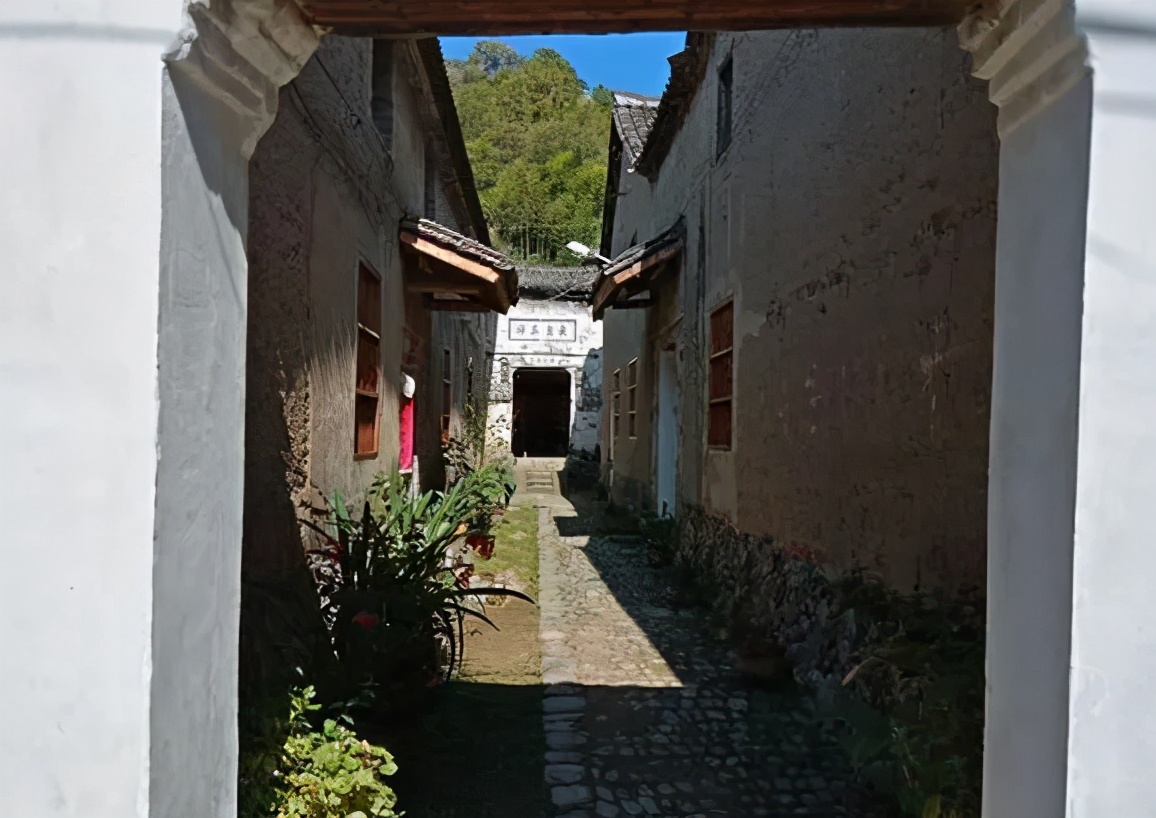 丽水上热搜,浙江丽水现萤火虫星海