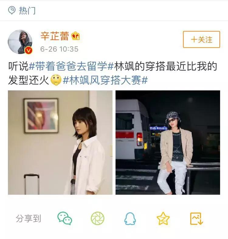 辛芷蕾林飒mv,辛芷蕾扮演林飒图片