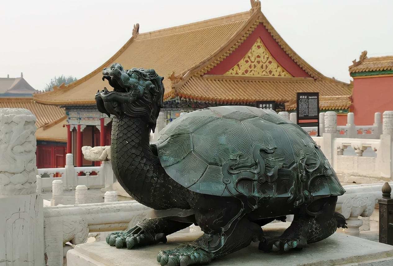 你知道乌龟为什么能活这么久吗,乌龟不用吃东西它也能活下来吗